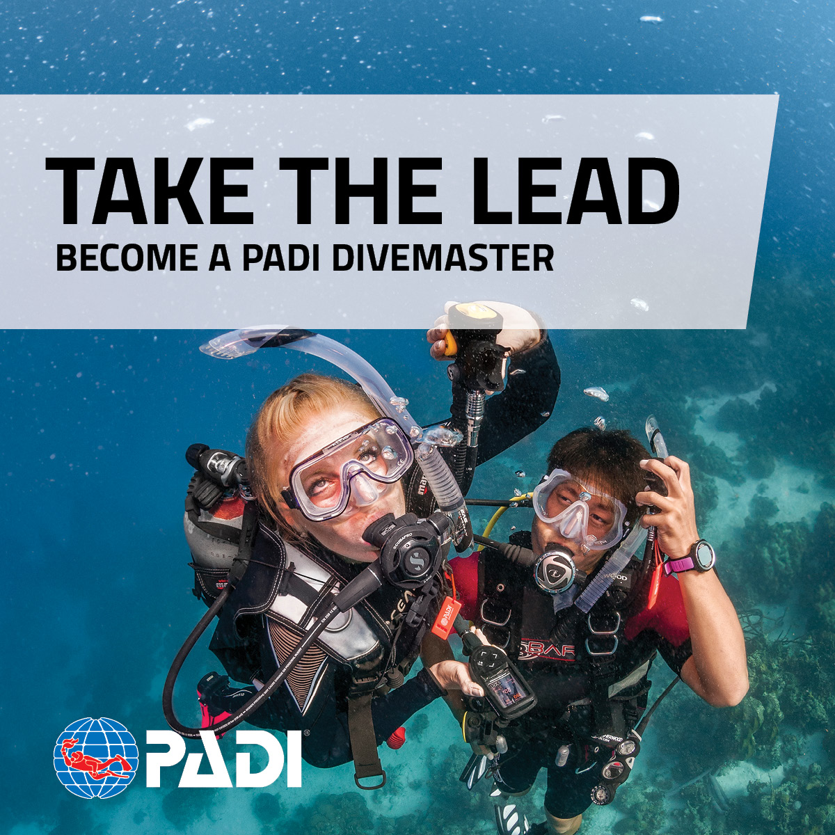 курс дайвинга PADI DiveMaster